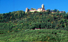 France-Alsace-Gourmet Ride through Alsace